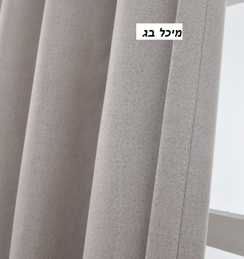 מיכל בג