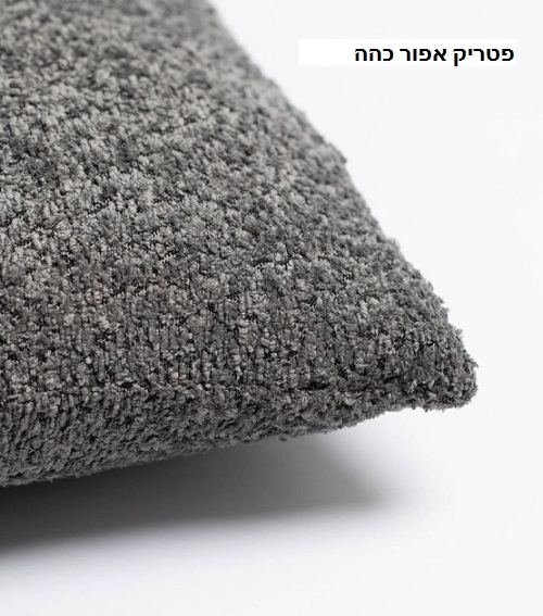 פטריקאפורכהה